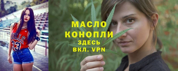 тгк Гусев
