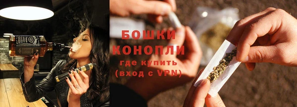 тгк Гусев