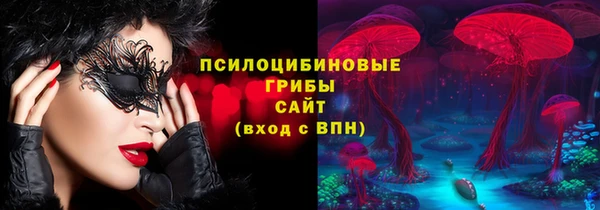 тгк Гусев
