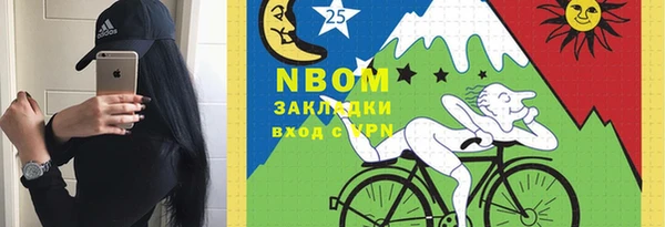 тгк Гусев