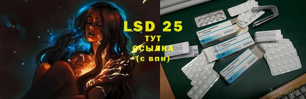 тгк Гусев