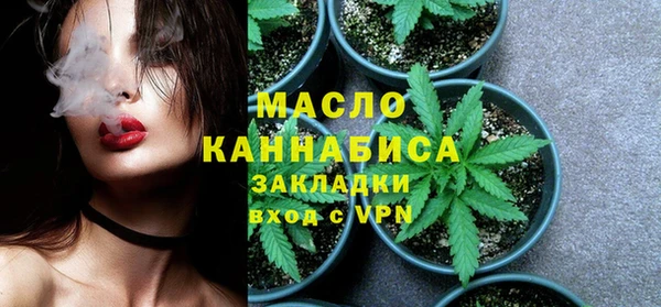 тгк Гусев