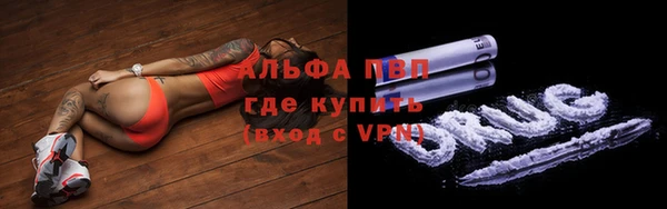 тгк Гусев