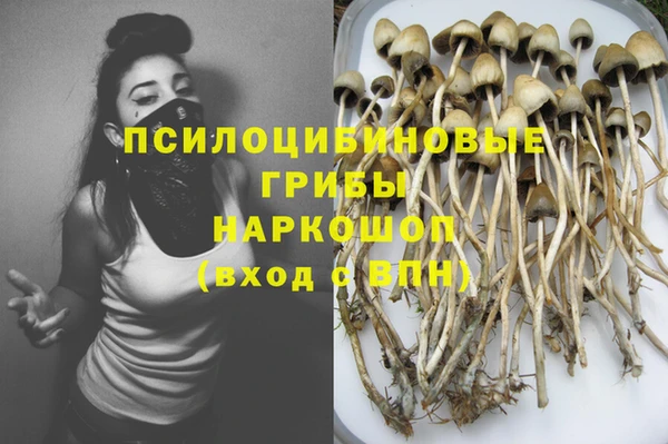 тгк Гусев