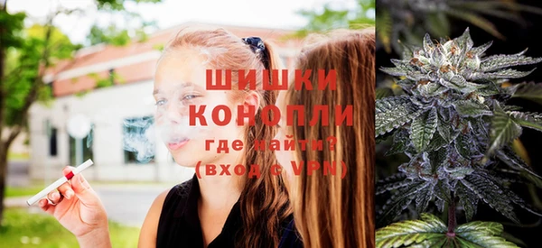 тгк Гусев