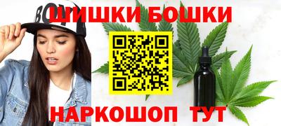 шишки Кингисепп