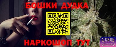 шишки Кингисепп