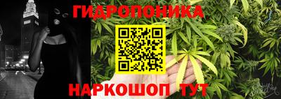 прущая мука Кимры