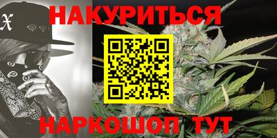 шишки Кингисепп