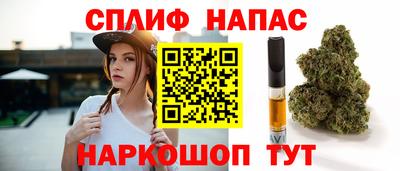 шишки Кингисепп