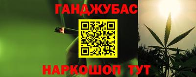 шишки Кингисепп