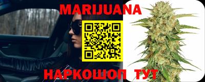 шишки Кингисепп