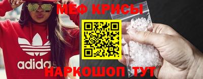 шишки Кингисепп