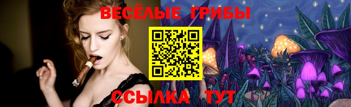 даркнет сайт  Вход с VPN  Обь  Псилоцибиновые грибы Cubensis 
